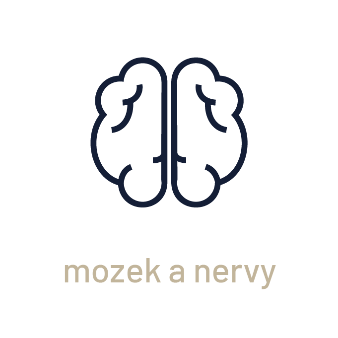 mozog a nervy CZ